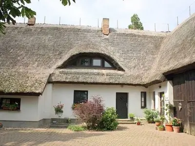 Ferienwohnung für 4 Personen (63 m²) in Rambin auf Rügen 2/10