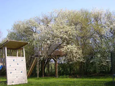 Ferienwohnung für 6 Personen (75 m²) in Rambin auf Rügen 2/10