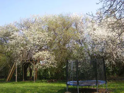 Ferienwohnung für 4 Personen (40 m²) in Rambin auf Rügen 3/10