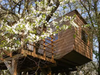 Ferienwohnung für 4 Personen (40 m²) in Rambin auf Rügen 6/10