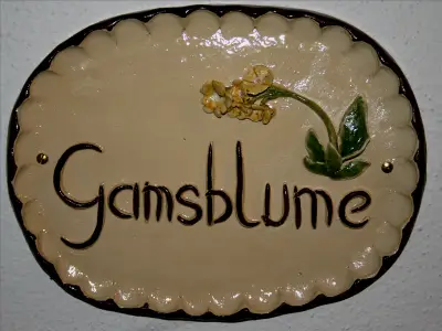 Ferienwohnung für 3 Personen (54 m²) in Ramsau 6/10