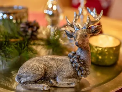 Ferienwohnung für 2 Personen (50 m²) in Ramsau 7/10