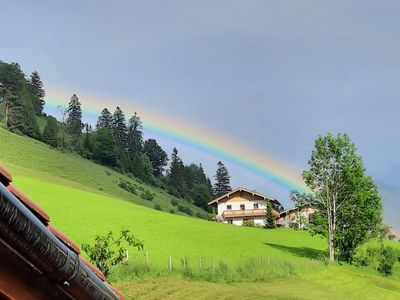 Ausblick vom Balkon