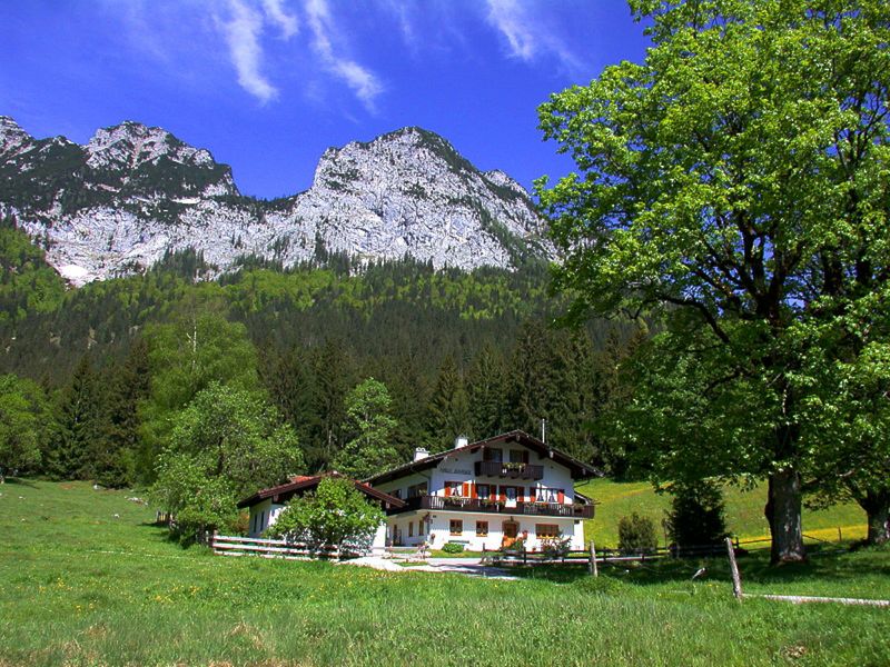 24009054-Ferienwohnung-2-Ramsau-800x600-0