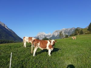 24014189-Ferienwohnung-2-Ramsau-300x225-1