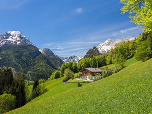 Ferienwohnung für 4 Personen (37 m&sup2;) in Ramsau