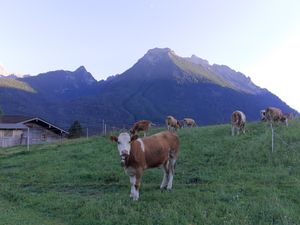 24012680-Ferienwohnung-2-Ramsau-300x225-2