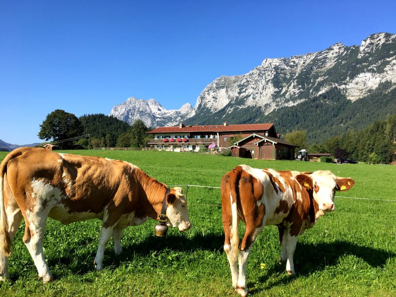 19368728-Ferienwohnung-2-Ramsau-800x600-1