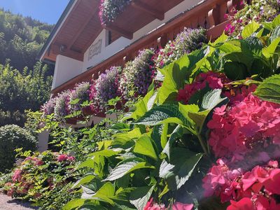 Ferienwohnung für 2 Personen (42 m²) in Ramsau 2/10