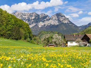 23083437-Ferienwohnung-4-Ramsau-300x225-3