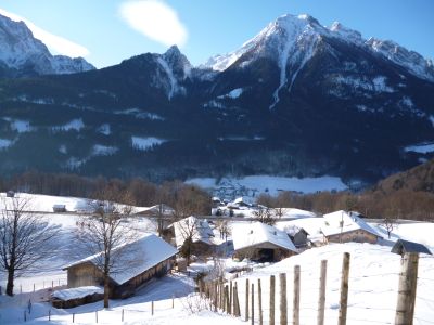 Ferienwohnung für 2 Personen (40 m²) in Ramsau 1/10