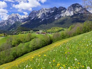 19441592-Ferienwohnung-4-Ramsau-300x225-4