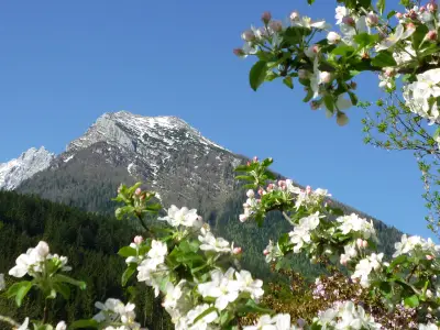 Ferienwohnung für 2 Personen (47 m²) in Ramsau 3/10