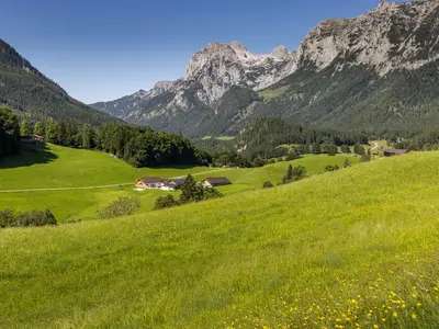 Ansicht