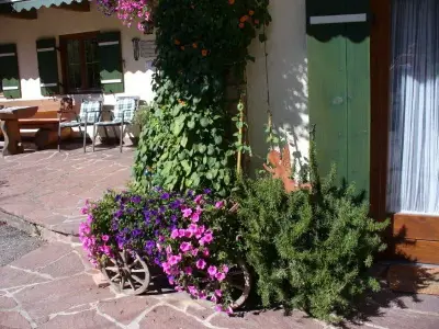 Ferienwohnung für 5 Personen (75 m²) in Ramsau 5/10