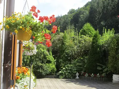 Terrasse 1