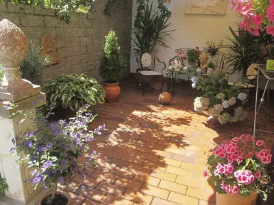 Terrasse 2