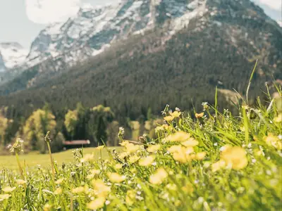 Bergblick