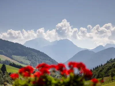 Aussicht