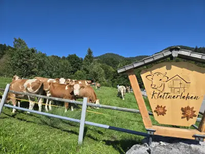Begrüßung