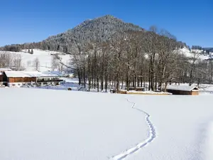 Ferienwohnung für 4 Personen (75 m²) in Ramsau