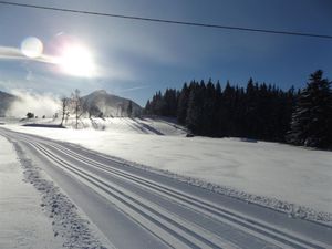 Ferienwohnung für 5 Personen (71 m&sup2;) in Ramsau am Dachstein