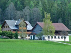 22359779-Ferienwohnung-2-Ramsau am Dachstein-300x225-4