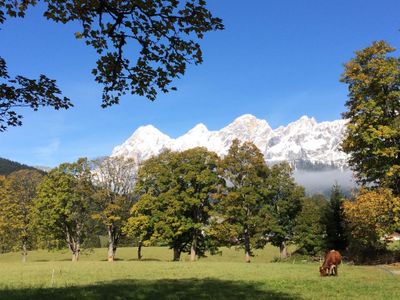 Blick vom Appartement