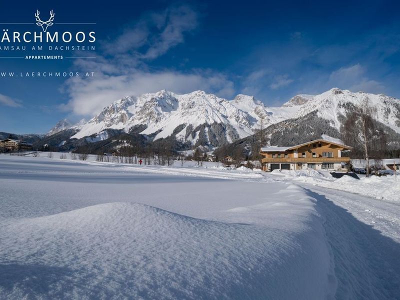 22360717-Ferienwohnung-4-Ramsau am Dachstein-800x600-2