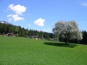 22360903-Ferienwohnung-6-Ramsau am Dachstein-300x225-1