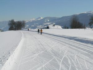 22360903-Ferienwohnung-6-Ramsau am Dachstein-300x225-5