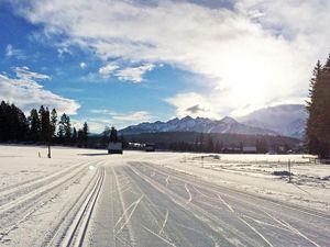 22360907-Ferienwohnung-2-Ramsau am Dachstein-300x225-2