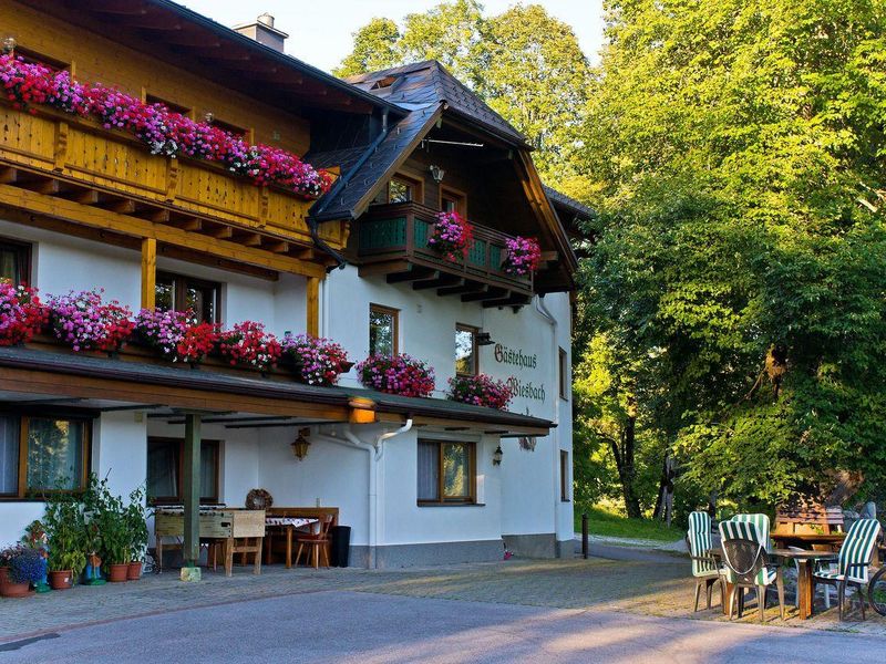 22361403-Ferienwohnung-5-Ramsau am Dachstein-800x600-2