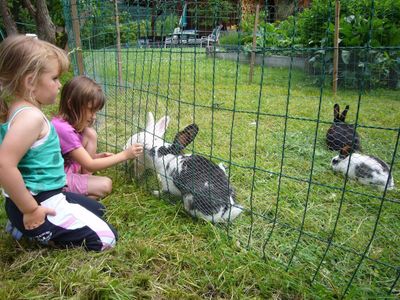 Verweilen in unserem Garten