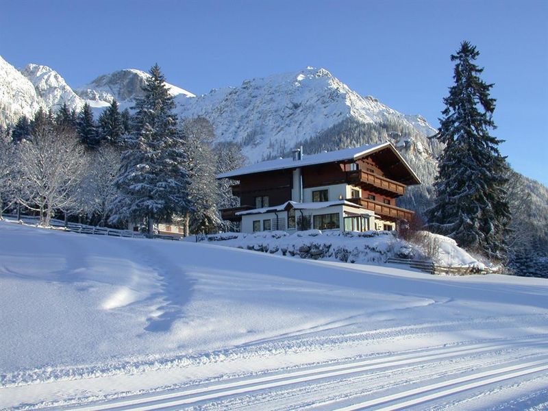 22361437-Ferienwohnung-3-Ramsau am Dachstein-800x600-0