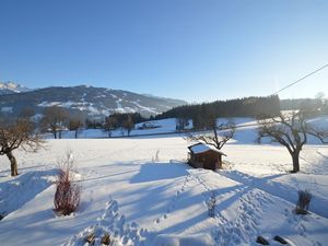 22361467-Ferienwohnung-2-Ramsau am Dachstein-300x225-1