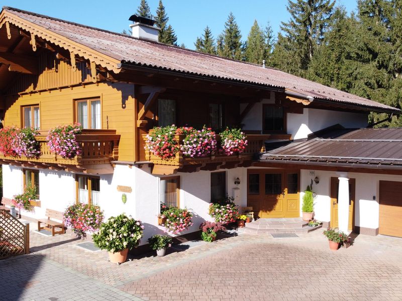 22359689-Ferienwohnung-5-Ramsau am Dachstein-800x600-2