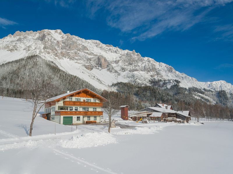 22359807-Ferienwohnung-4-Ramsau am Dachstein-800x600-2