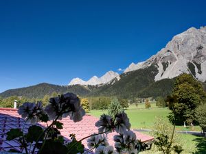 22360707-Ferienwohnung-4-Ramsau am Dachstein-300x225-3