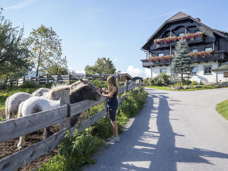 22360341-Ferienwohnung-4-Ramsau am Dachstein-800x600-1