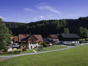 Ferienwohnung für 4 Personen (50 m²) in Ramsau am Dachstein