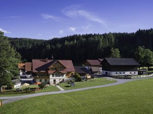 Ferienwohnung für 4 Personen (45 m&sup2;) in Ramsau am Dachstein