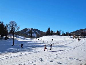 23851861-Ferienwohnung-4-Ramsau am Dachstein-300x225-3