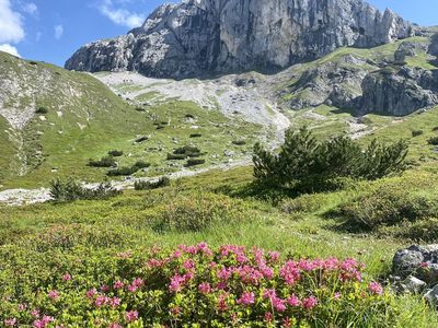 Hausberg Sinabell