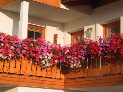 Blumen Balkon