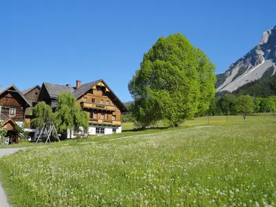 Frühjahr