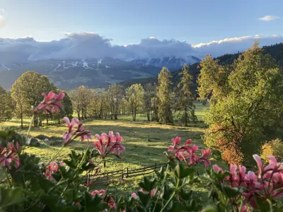 Blick vom Balkon