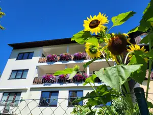 Ferienwohnung für 2 Personen (35 m²) in Ramsau am Dachstein