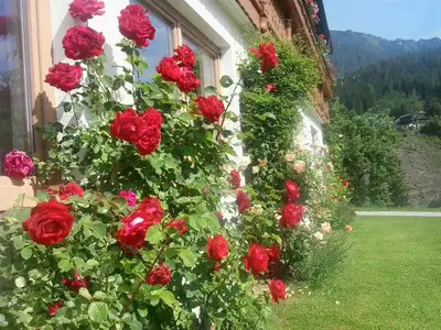 Sommer Trillerhof