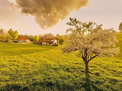 Foto  Brandlhof